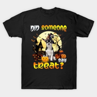 Black Chihuahua Did Someone Say Treat Happy Halloween T-Shirt